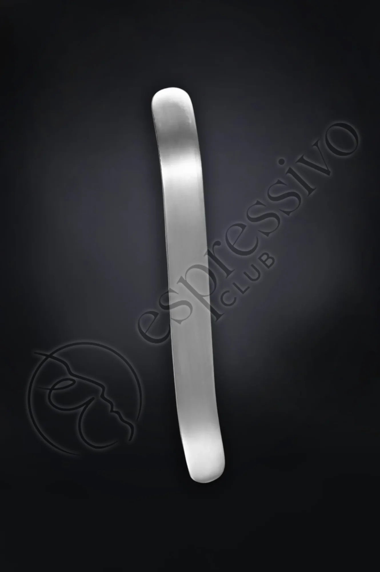 Stainless Steel Tongue Depressor for BDSM and Medical Play Sex Toys