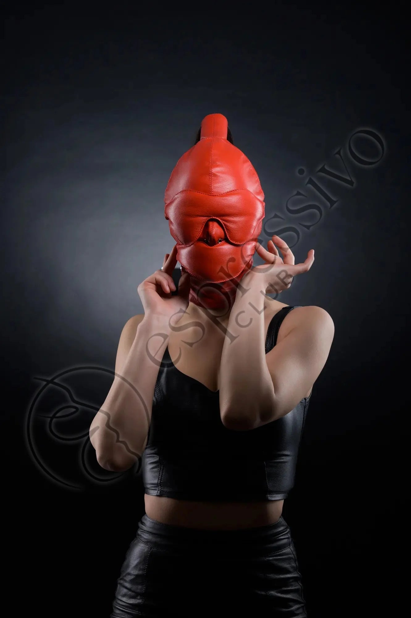 Real Leather Bondage Set In Red: Of Bdsm Ponytail Hood + Leather Blindfold & Muffle Gag Masks