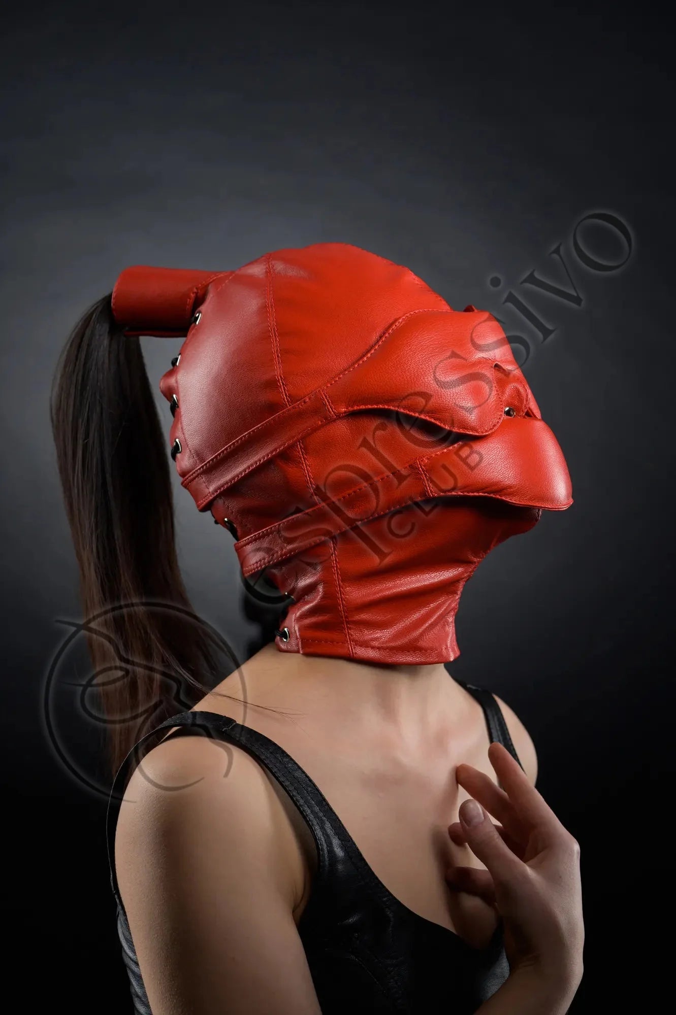 BDSM Ponytail Hood with Leather Blindfold and Muffle Gag
